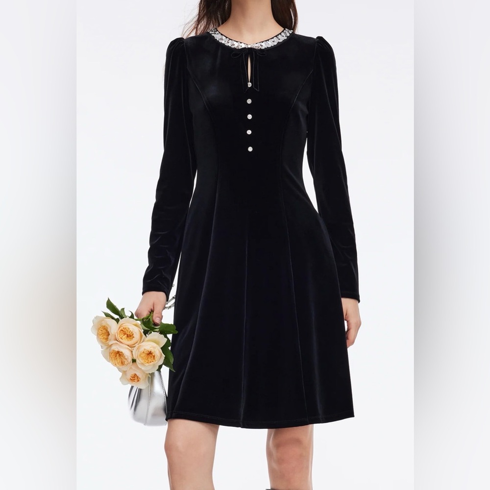 Velvet Sequined Round Neck Women Mini Dress